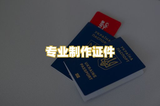 专业制作证件